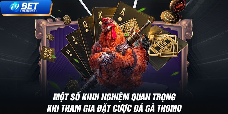 Các Loại Hình Đá Gà Tại i9BET