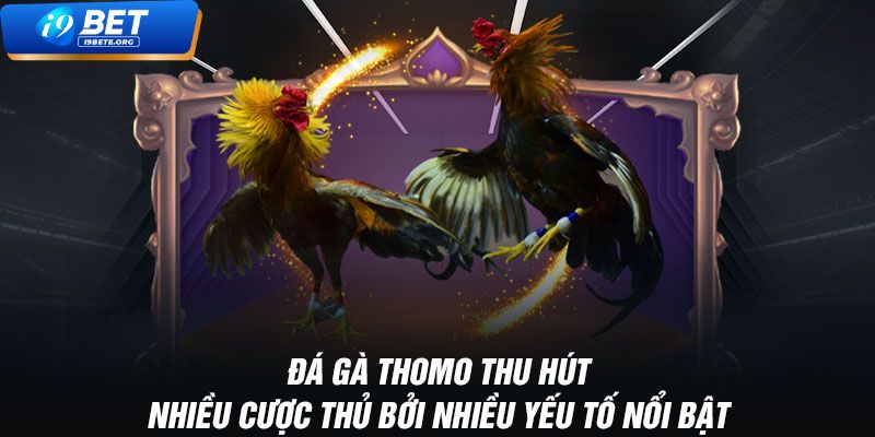 Tính Năng Hỗ Trợ Người Chơi Trên i9BET